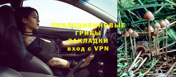 кокаин Алексеевка